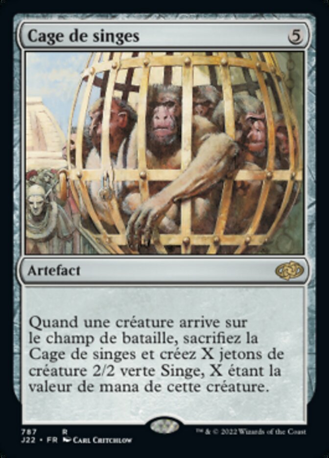 image Cage de singes