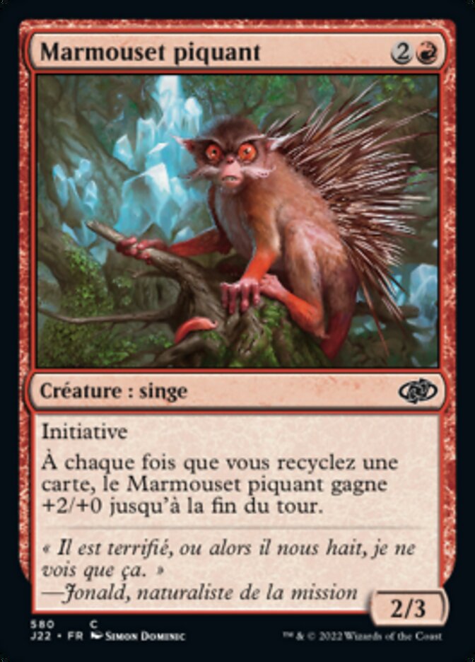 image Marmouset piquant