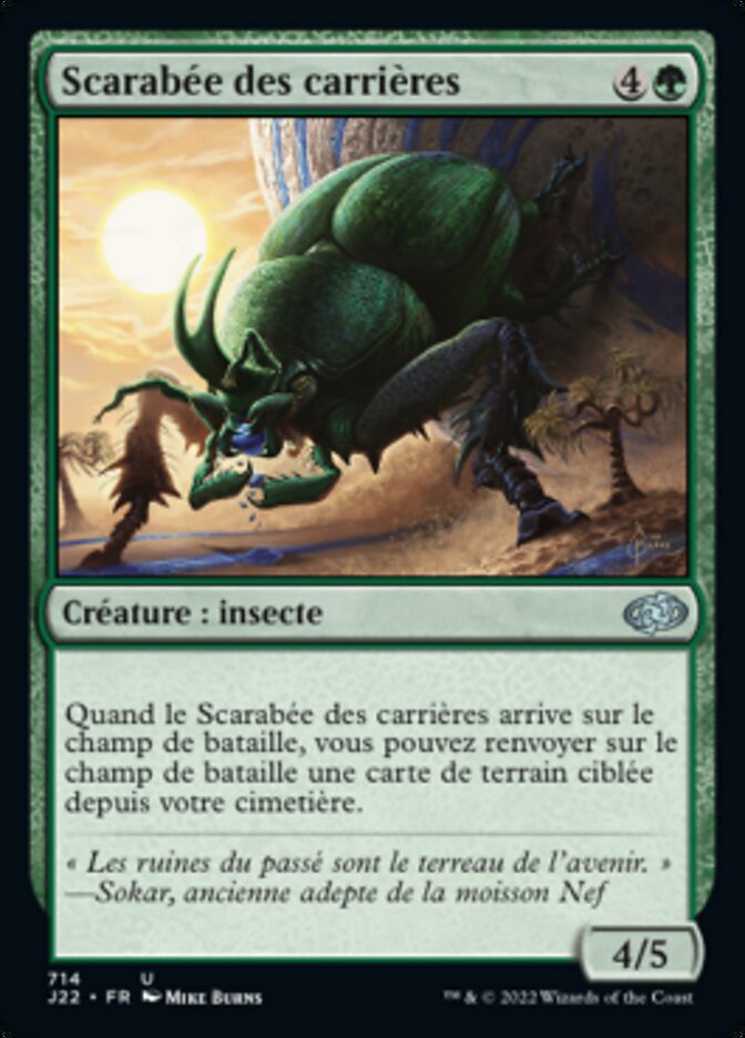 image Scarabée des carrières