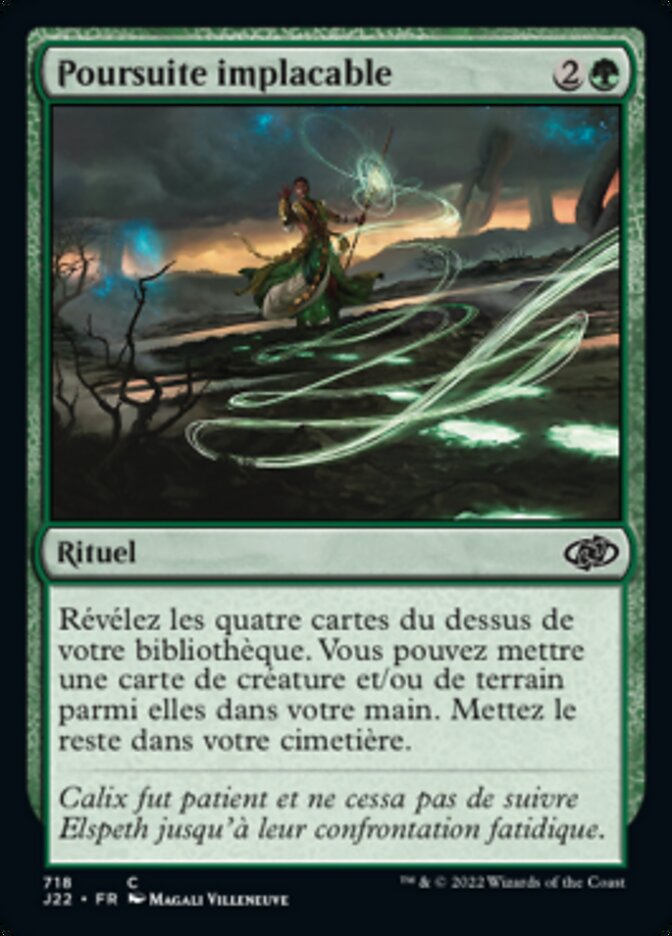 image Poursuite implacable