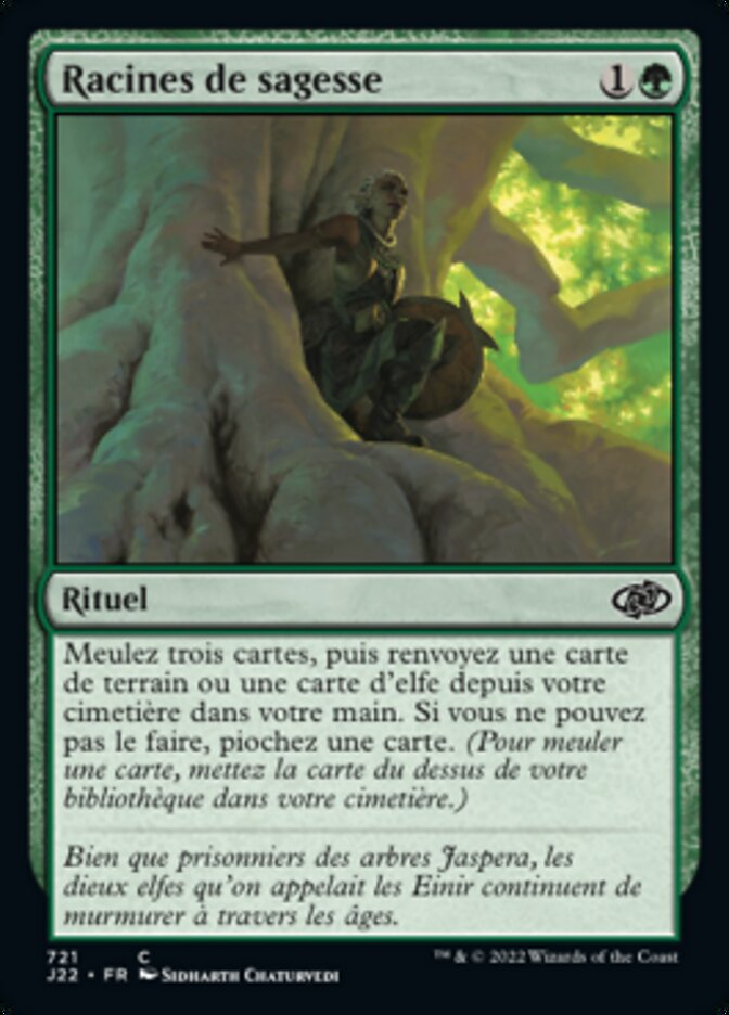 image Racines de sagesse