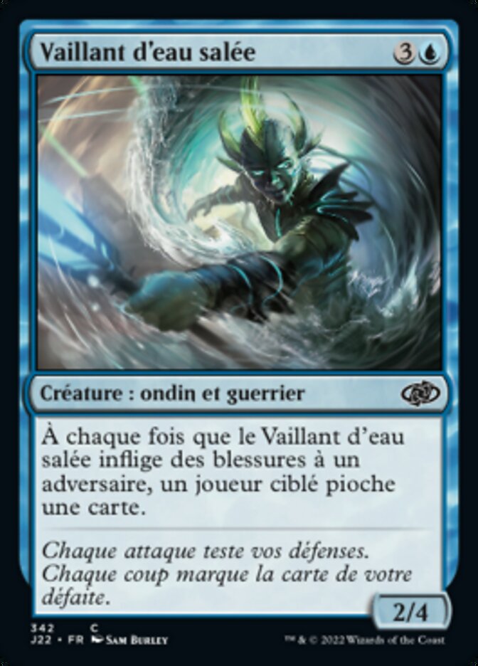 image Vaillant d'eau salée