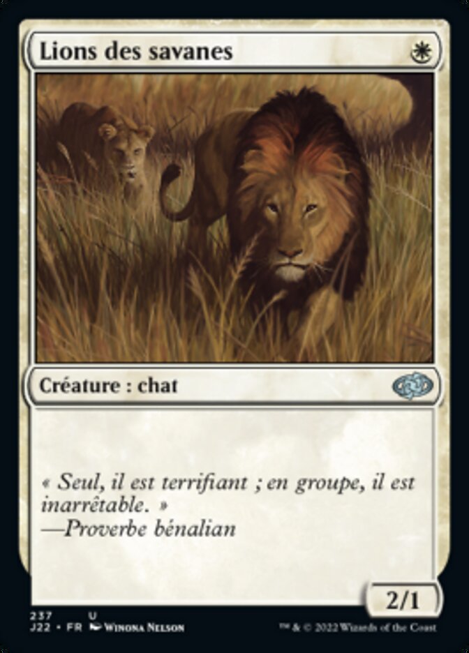 image Lions des savanes