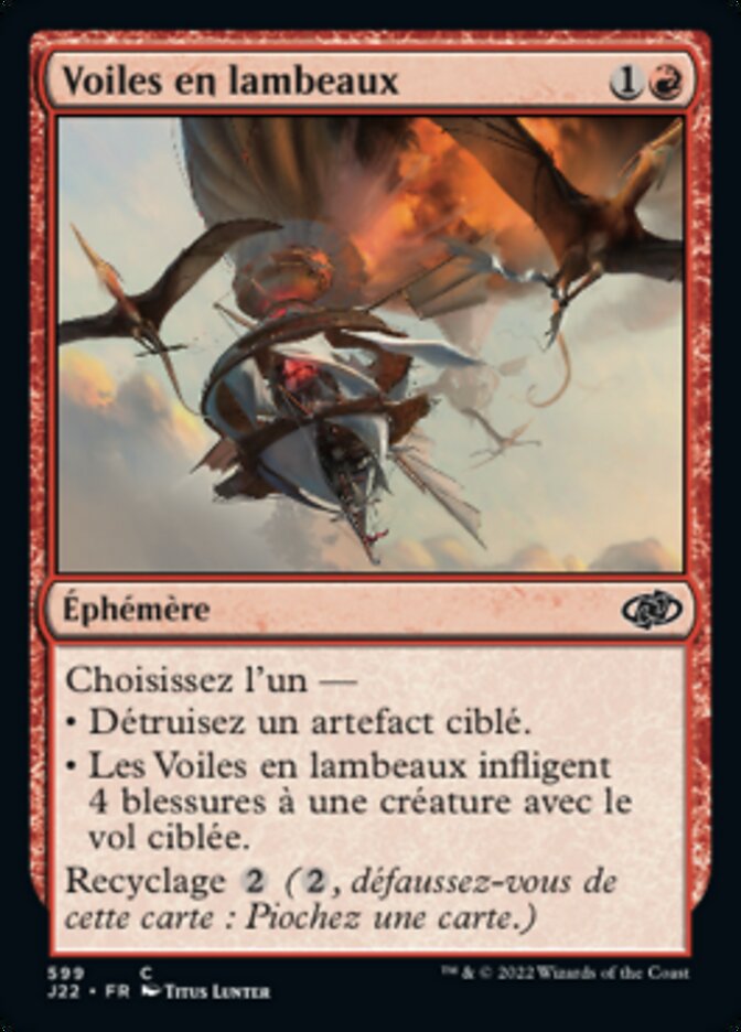 image Voiles en lambeaux