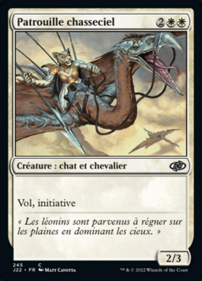 image Patrouille chasseciel