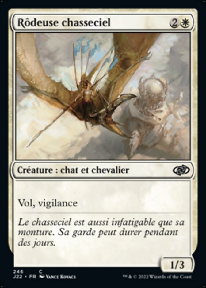 image Rôdeuse chasseciel