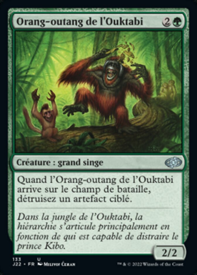 image Orang-outang de l'Ouktabi