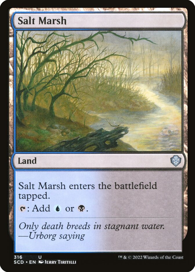 image Salt Marsh