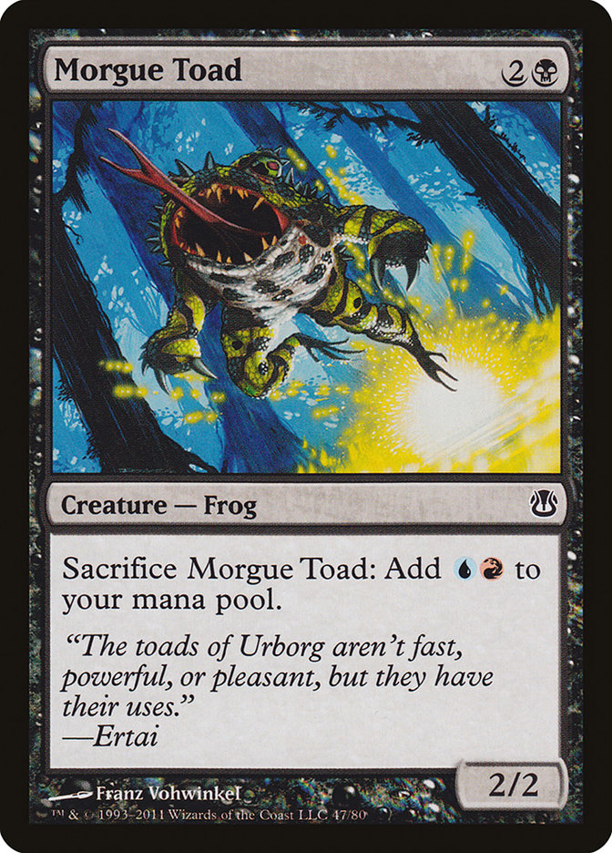 image Morgue Toad
