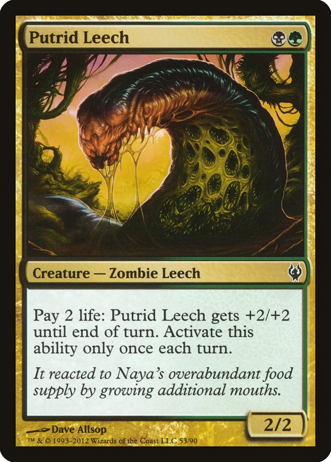 image Putrid Leech