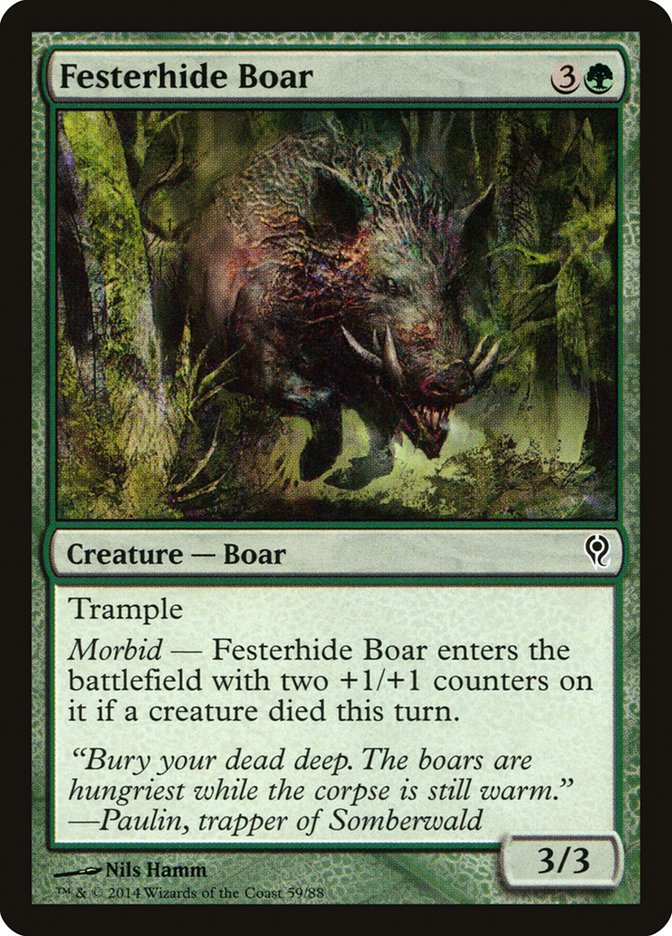 image Festerhide Boar