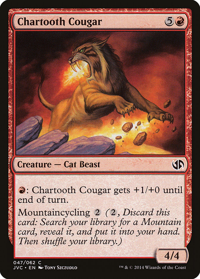 image Chartooth Cougar