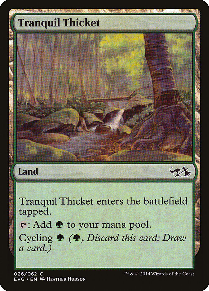 image Tranquil Thicket