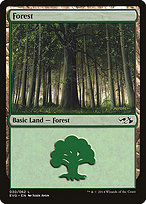 Forest