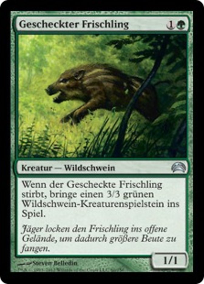 Gescheckter Frischling