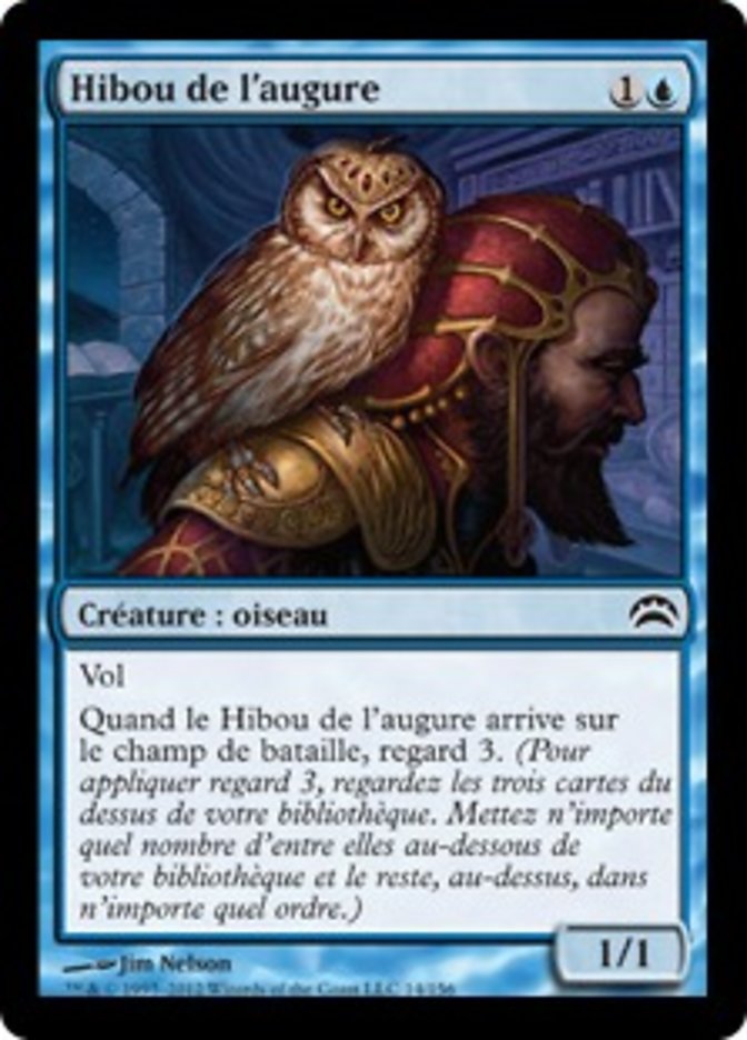 image Hibou de l'augure