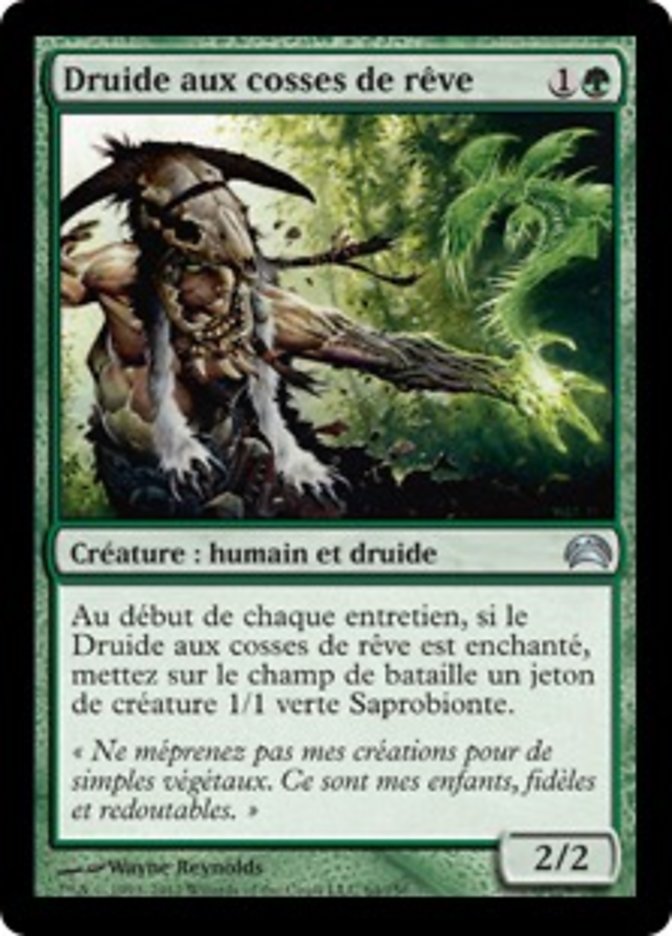 image Druide aux cosses de rêve