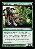 Druide aux cosses de rêve