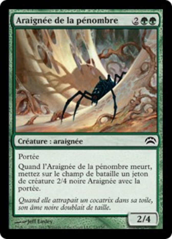 image Araignée de la pénombre