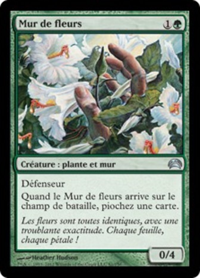 image Mur de fleurs