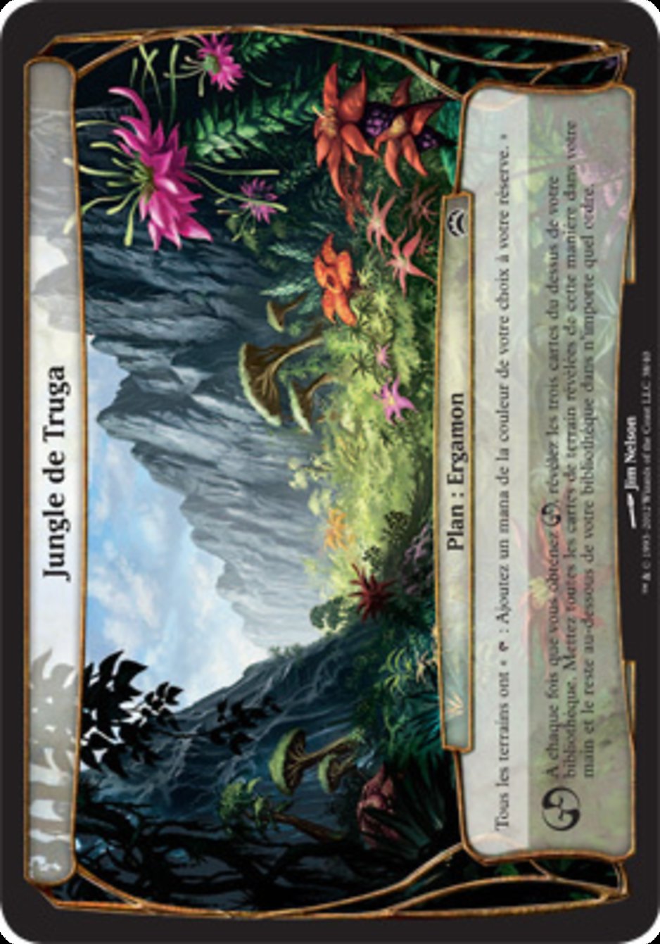 image Jungle de Truga