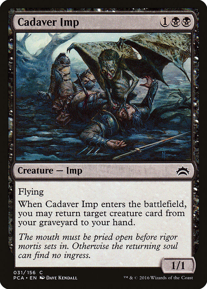 image Cadaver Imp