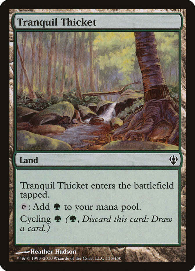 image Tranquil Thicket