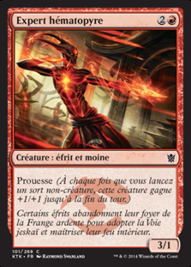 image Expert hématopyre