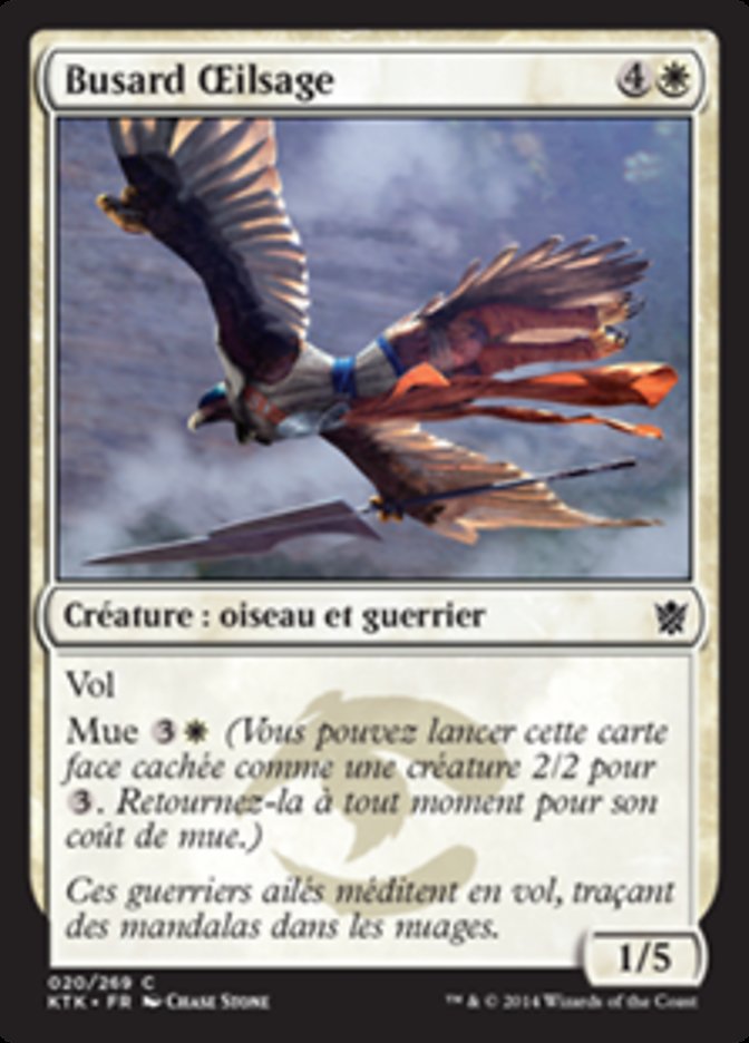 image Busard Œilsage