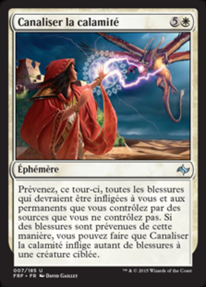 image Canaliser la calamité