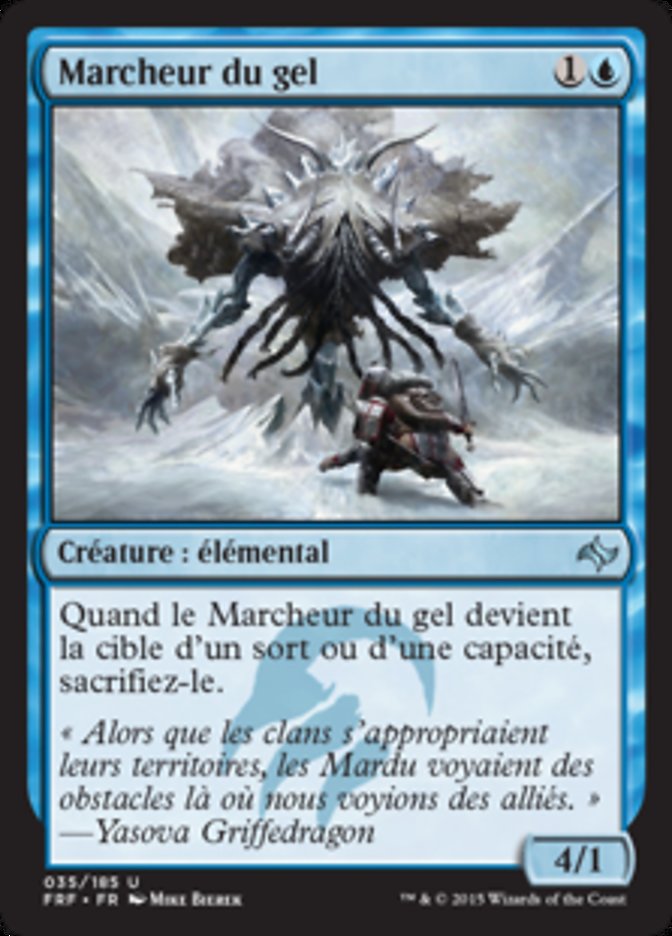 image Marcheur du gel