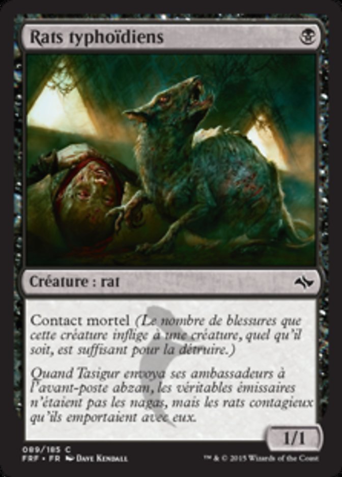 image Rats typhoïdiens