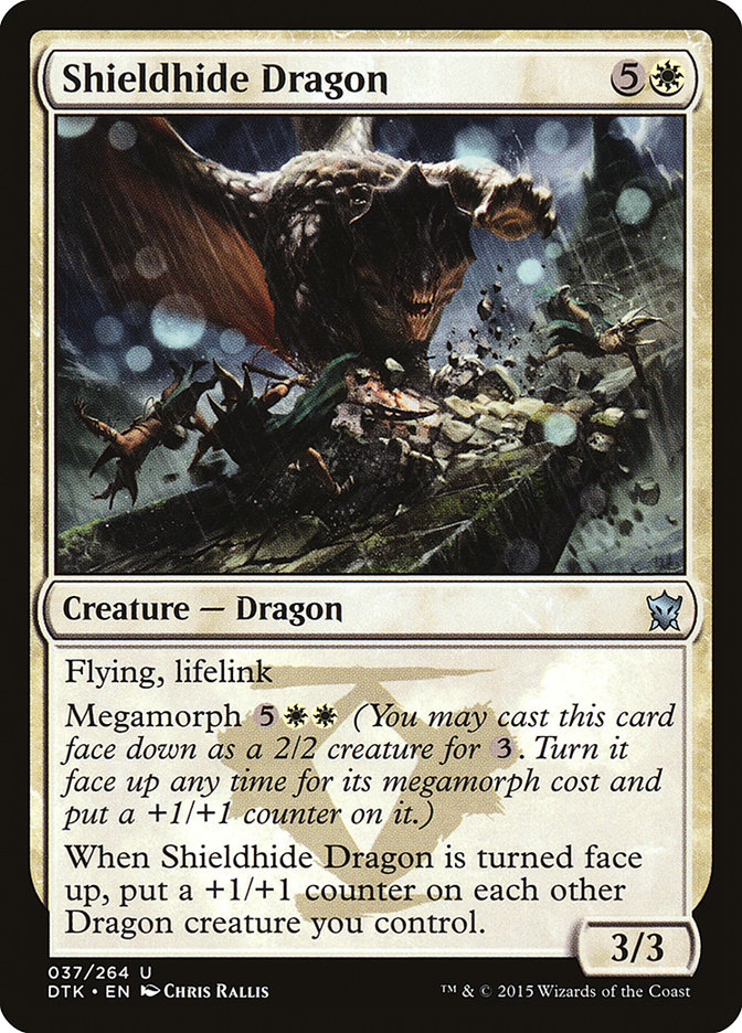 image Shieldhide Dragon