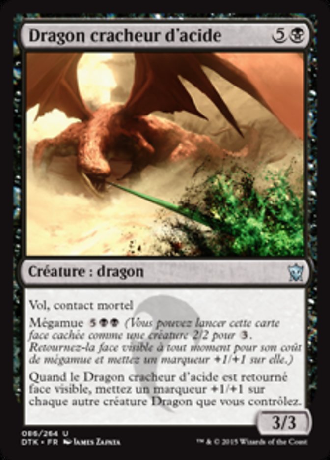 image Dragon cracheur d'acide