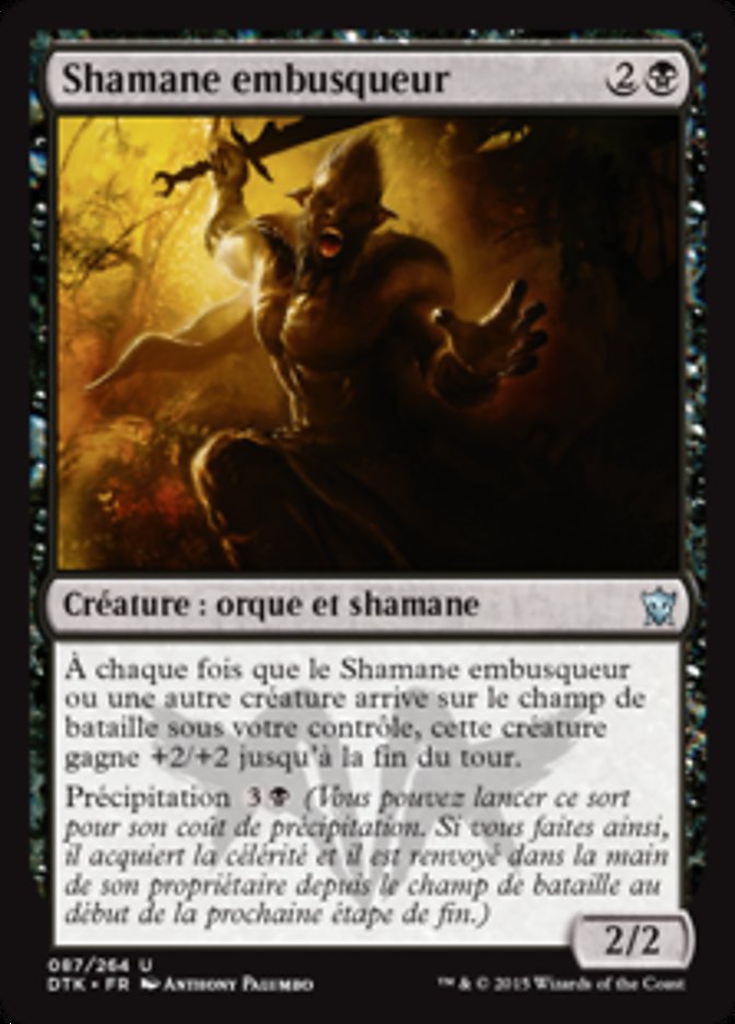 image Shamane embusqueur