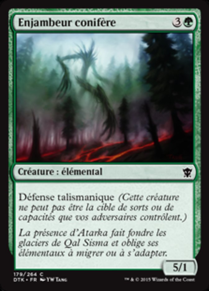 image Enjambeur conifère