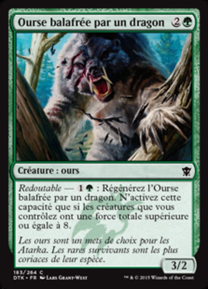 image Ourse balafrée par un dragon