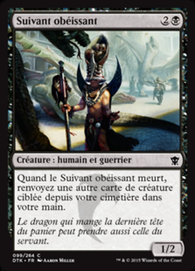 image Suivant obéissant