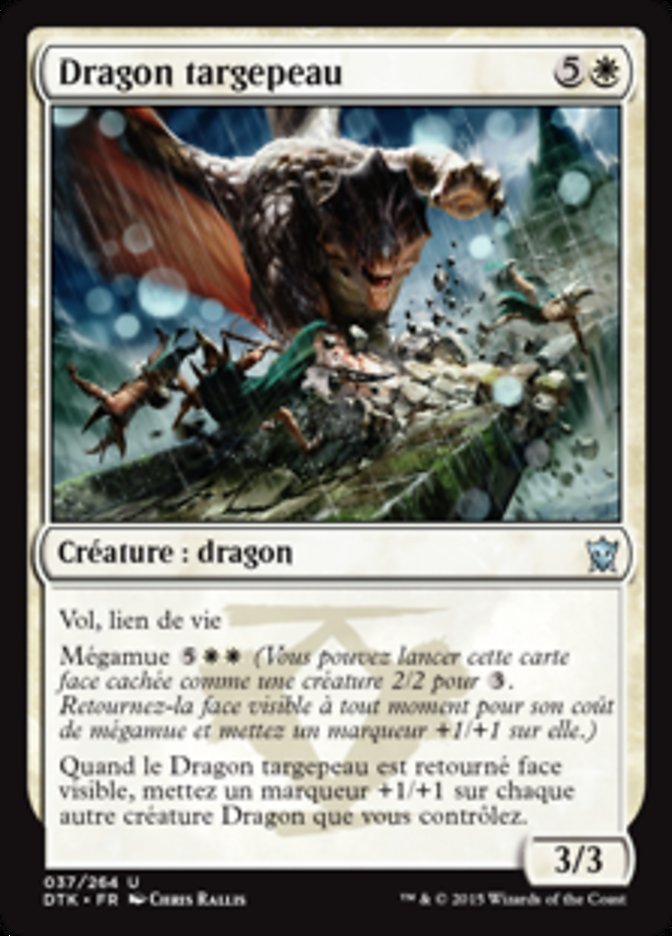 image Dragon targepeau