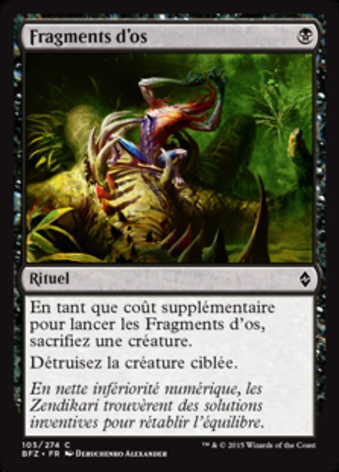 image Fragments d'os