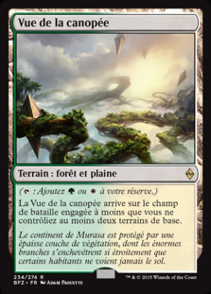 image Vue de la canopée