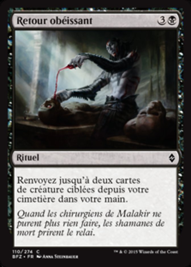 image Retour obéissant