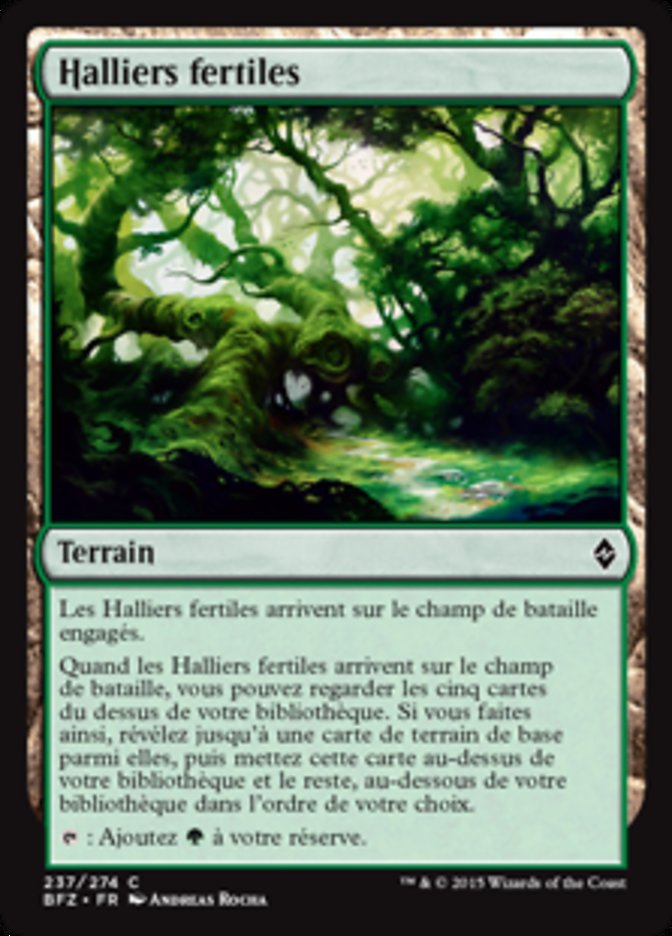 image Halliers fertiles