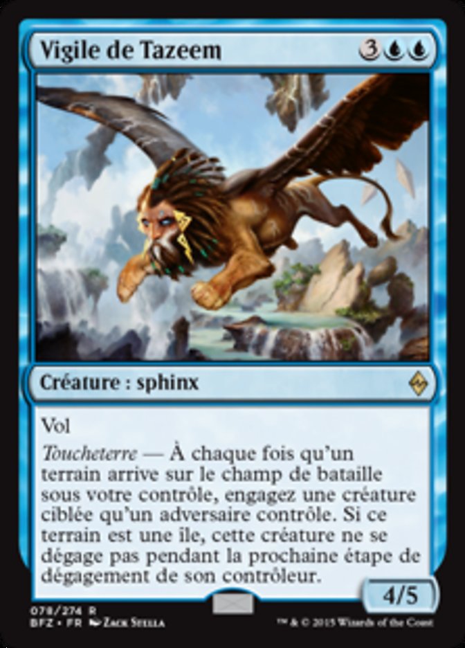 image Vigile de Tazeem