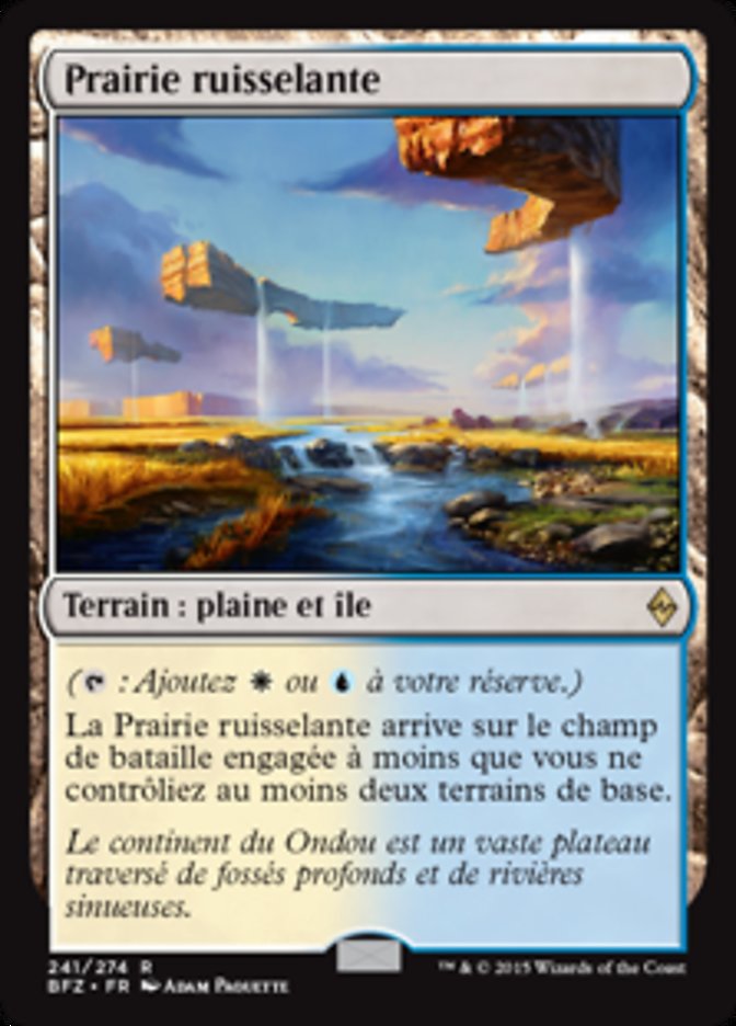 image Prairie ruisselante