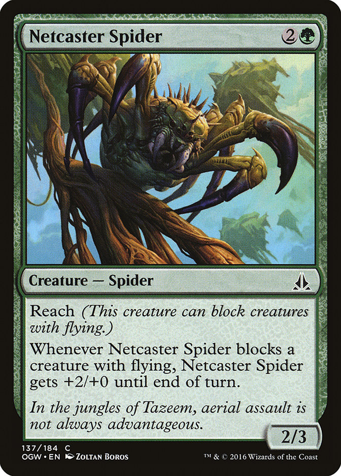 image Netcaster Spider