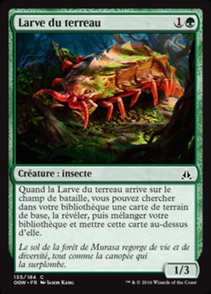 image Larve du terreau