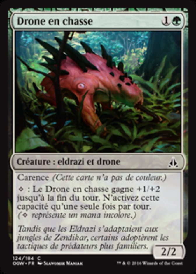 image Drone en chasse