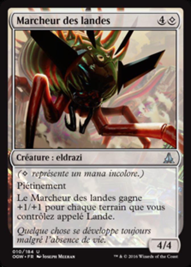 image Marcheur des landes