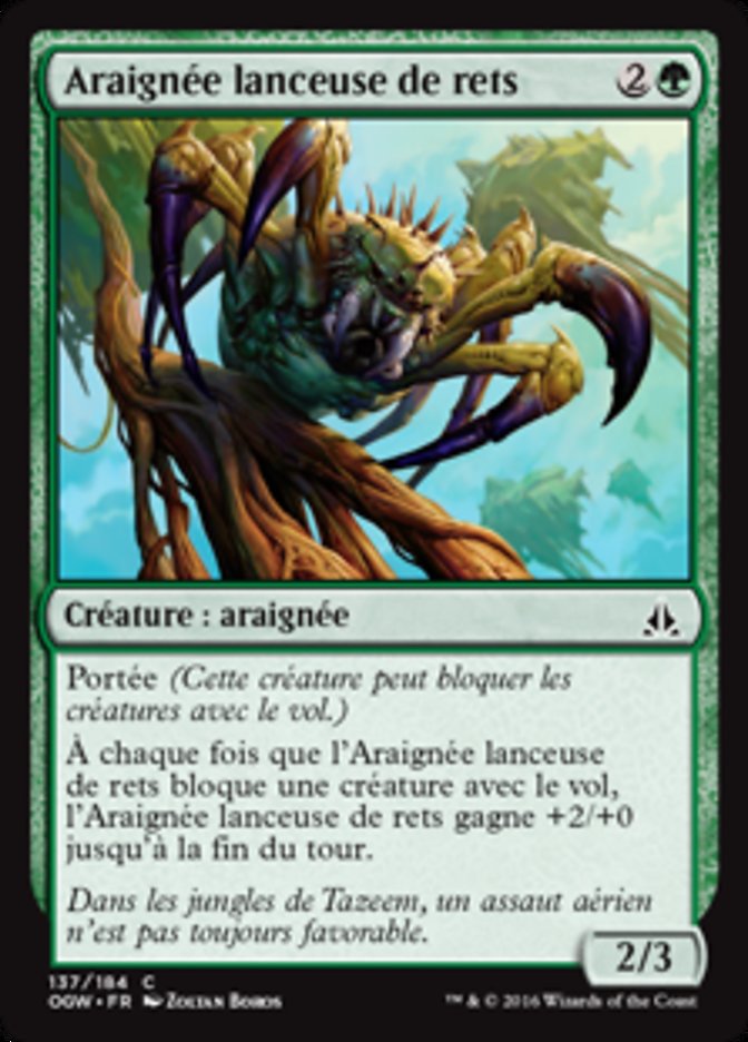 image Araignée lanceuse de rets